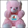 Personalised Teddy with Friends forever message - Code(PC05) - Click here to View more details about this Product